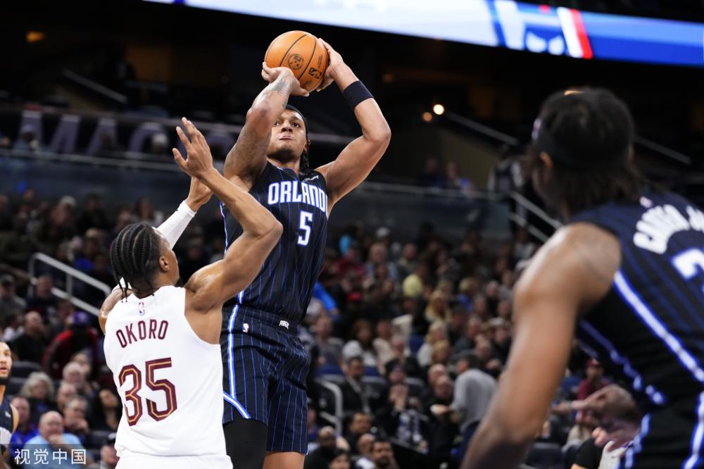 迷的关注 迷的关注