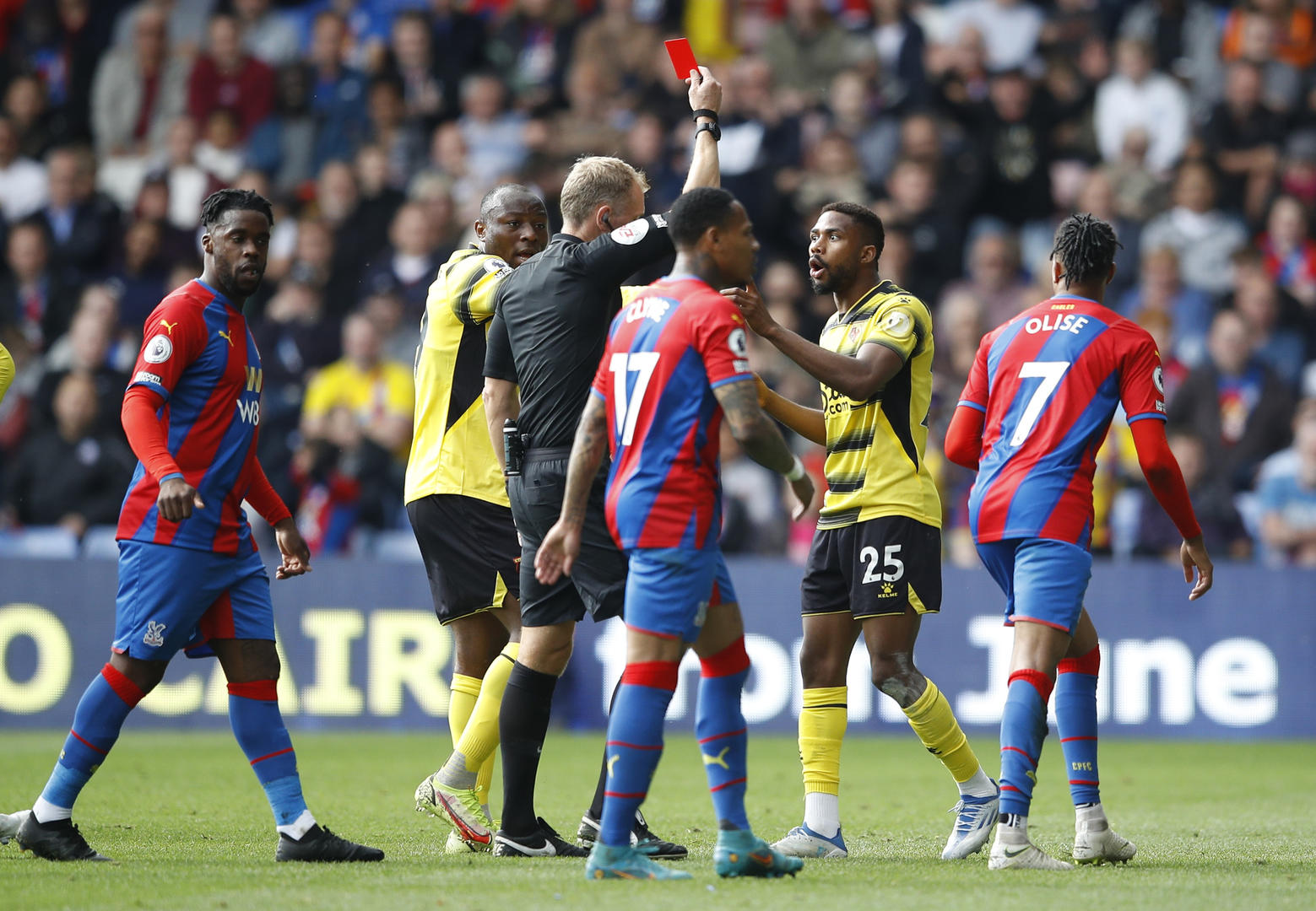 涯和成就激 涯和成就激